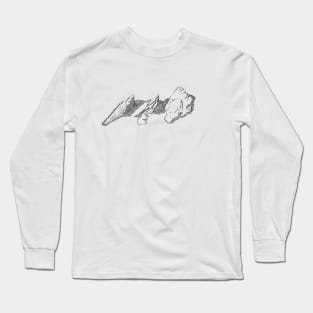 Guinea Pig Flatirons Long Sleeve T-Shirt